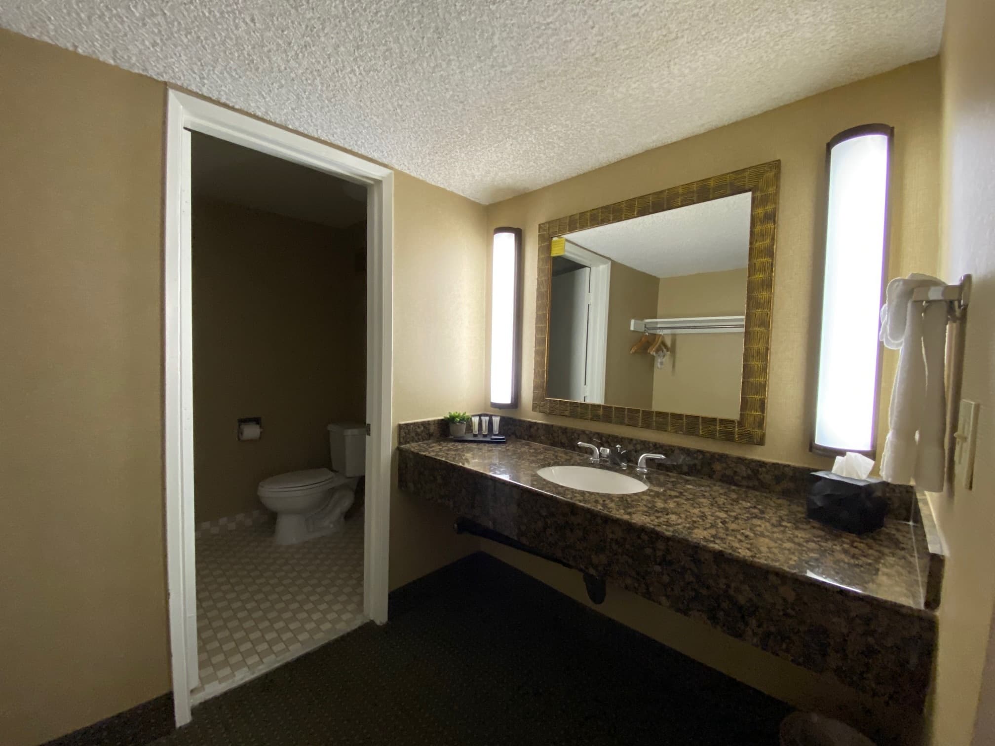 Atrium Hotel Orange County