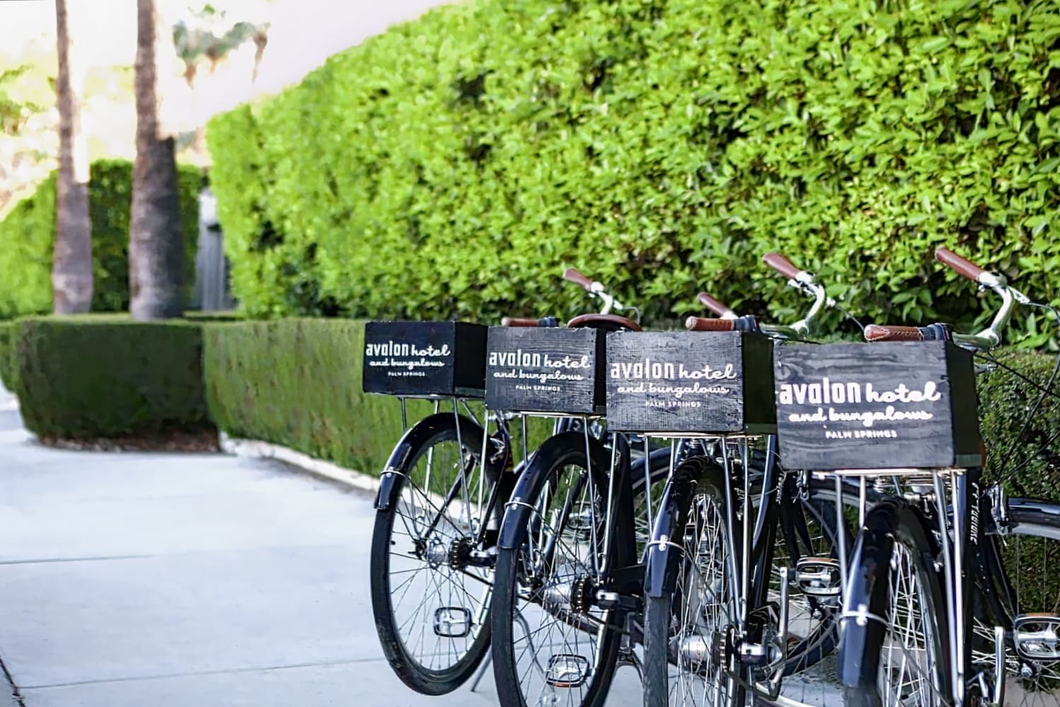 Avalon Hotel & Bungalows Palm Springs