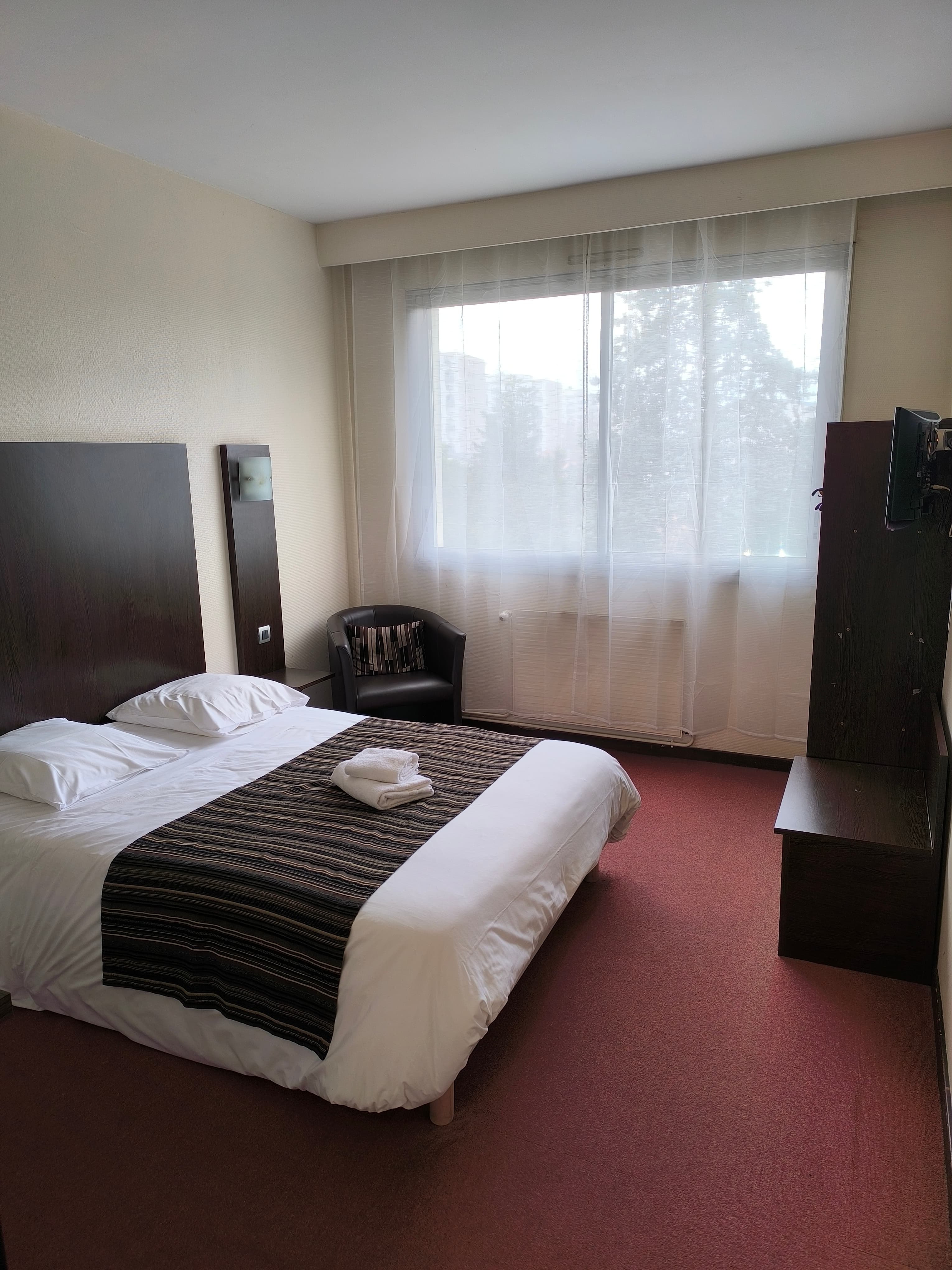 Adonis Lyon Est Artys Hotel