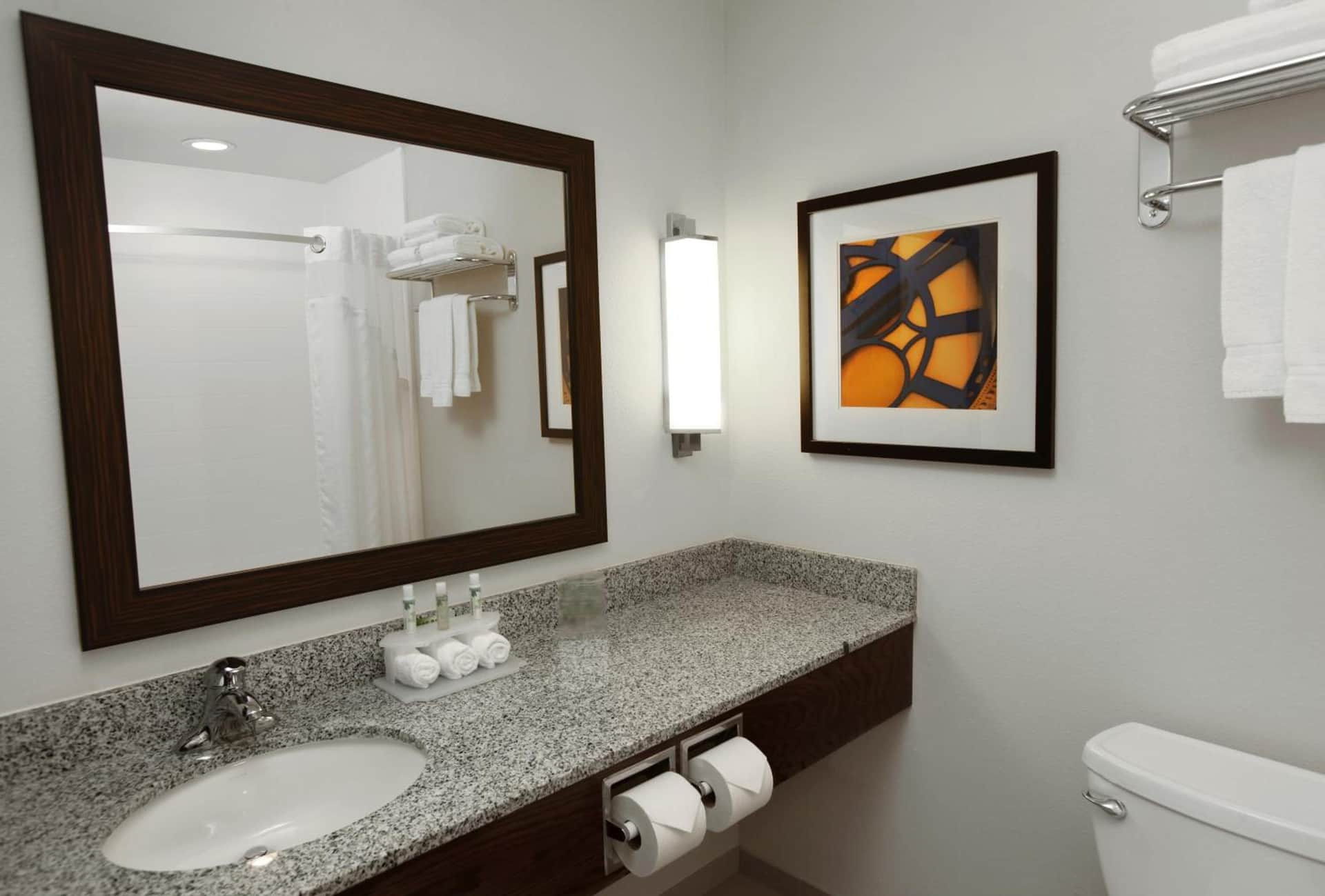 Holiday Inn Express & Suites Omaha South Ralston Arena
