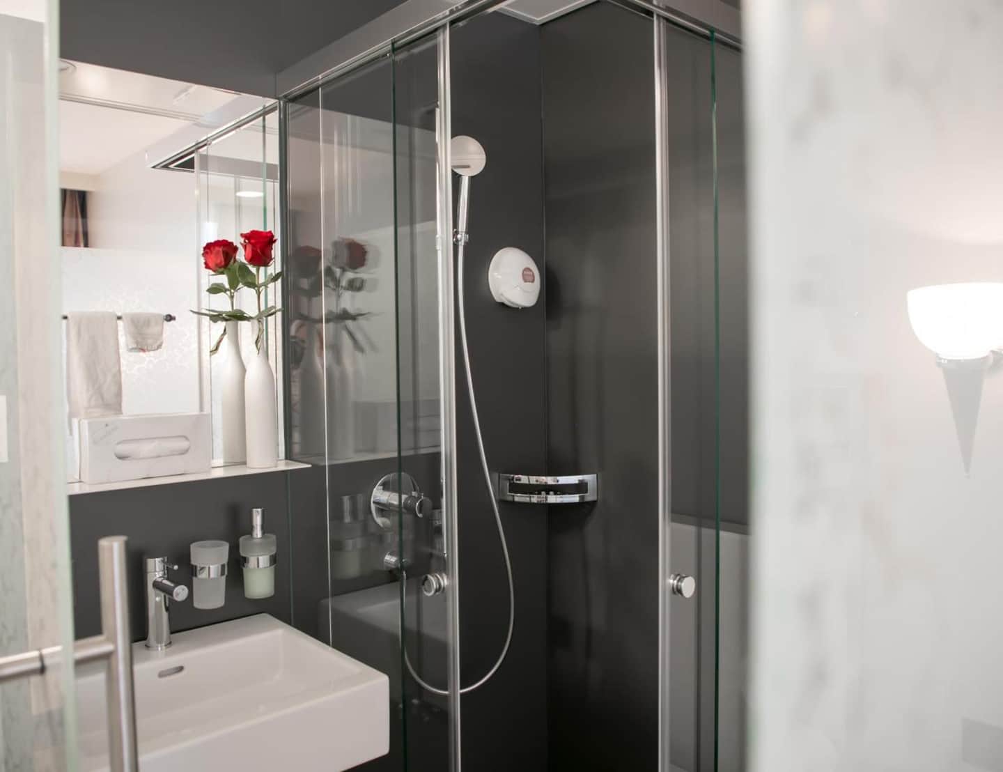 Hotel Metropol