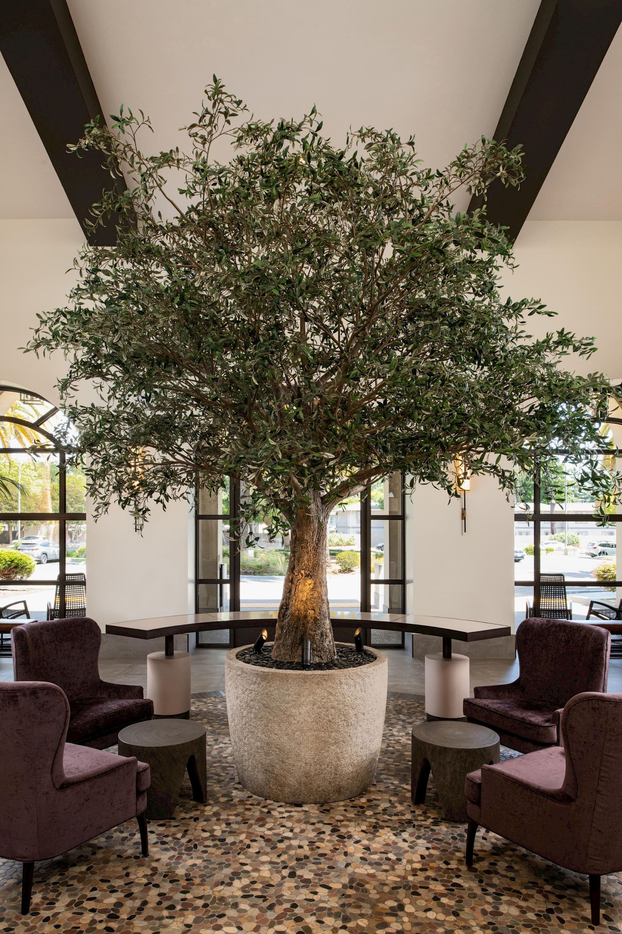 Casa Mani Resort Napa Valley, Curio Collection By Hilton