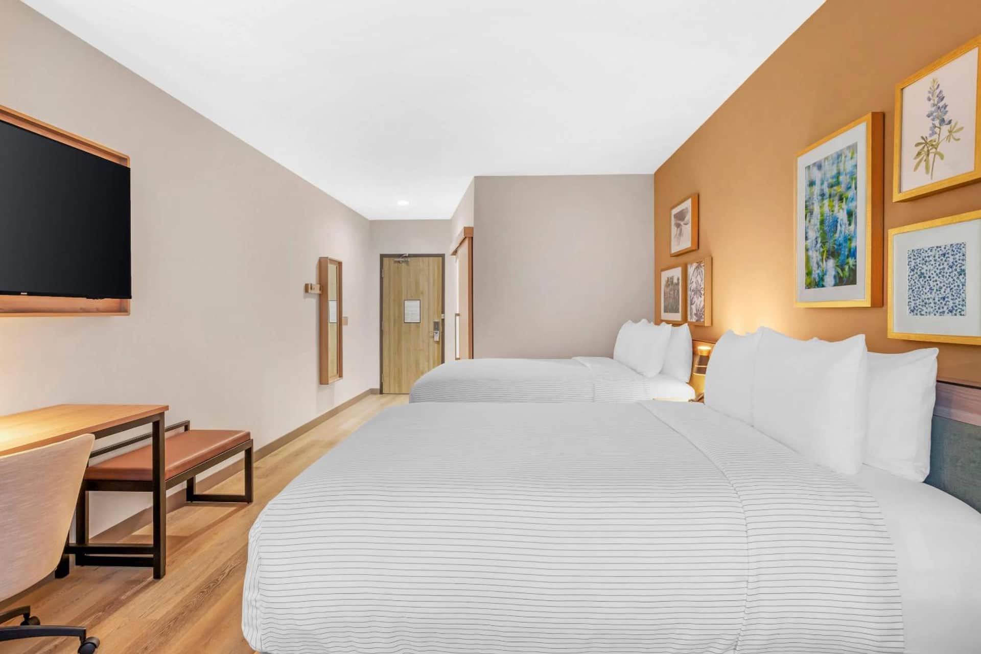 Cambria Hotel Euless - DFW Airport South